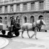 Transport by horse and carriage, Stockholm. (1966)