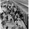 Odenplan metro station, Stockholm. (1969)